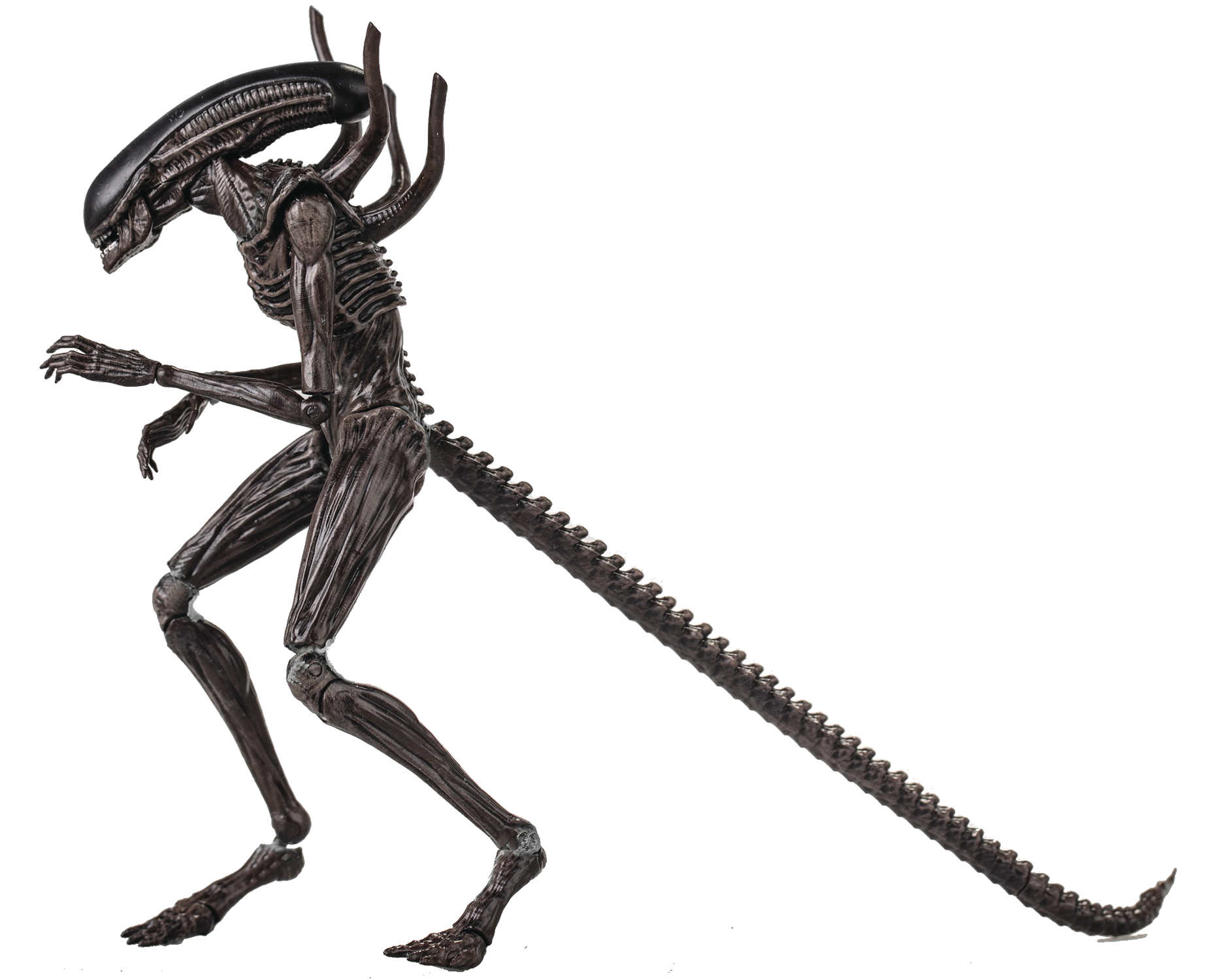 ALIEN COVENANT XENOMORPH PX 1/18 SCALE FIGURE (MAR188729) (C