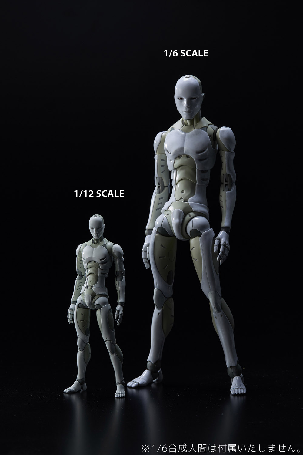 TOA HEAVY INDUSTRIES SYNTHETIC HUMAN PX 1/6 SCALE AF (Net) (