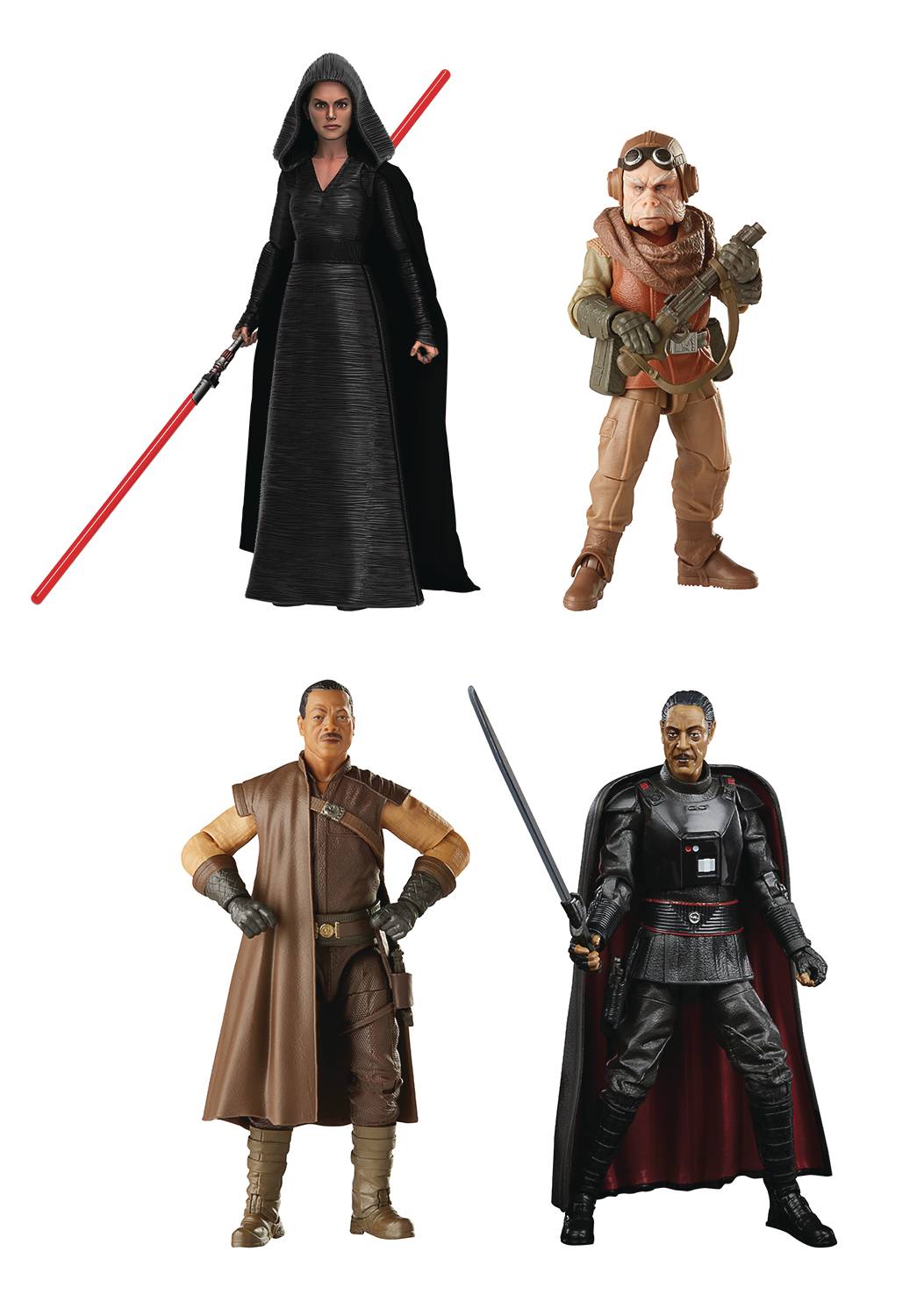 SW BLACK SERIES 6IN AF ASST 202101  (AUG208930)