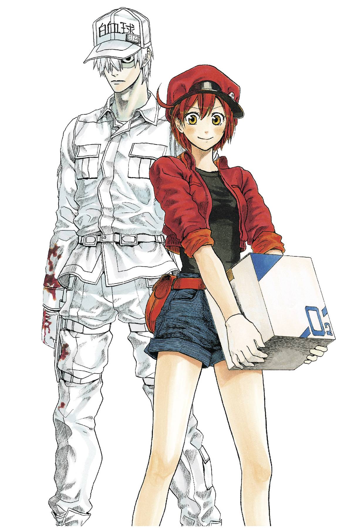 CELLS AT WORK COMP BOX SET