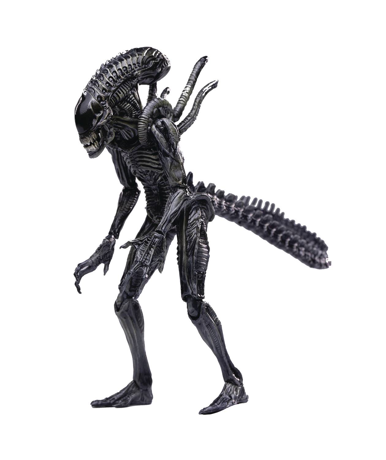 AVPR XENO WARRIOR PX 1/18 SCALE FIGURE