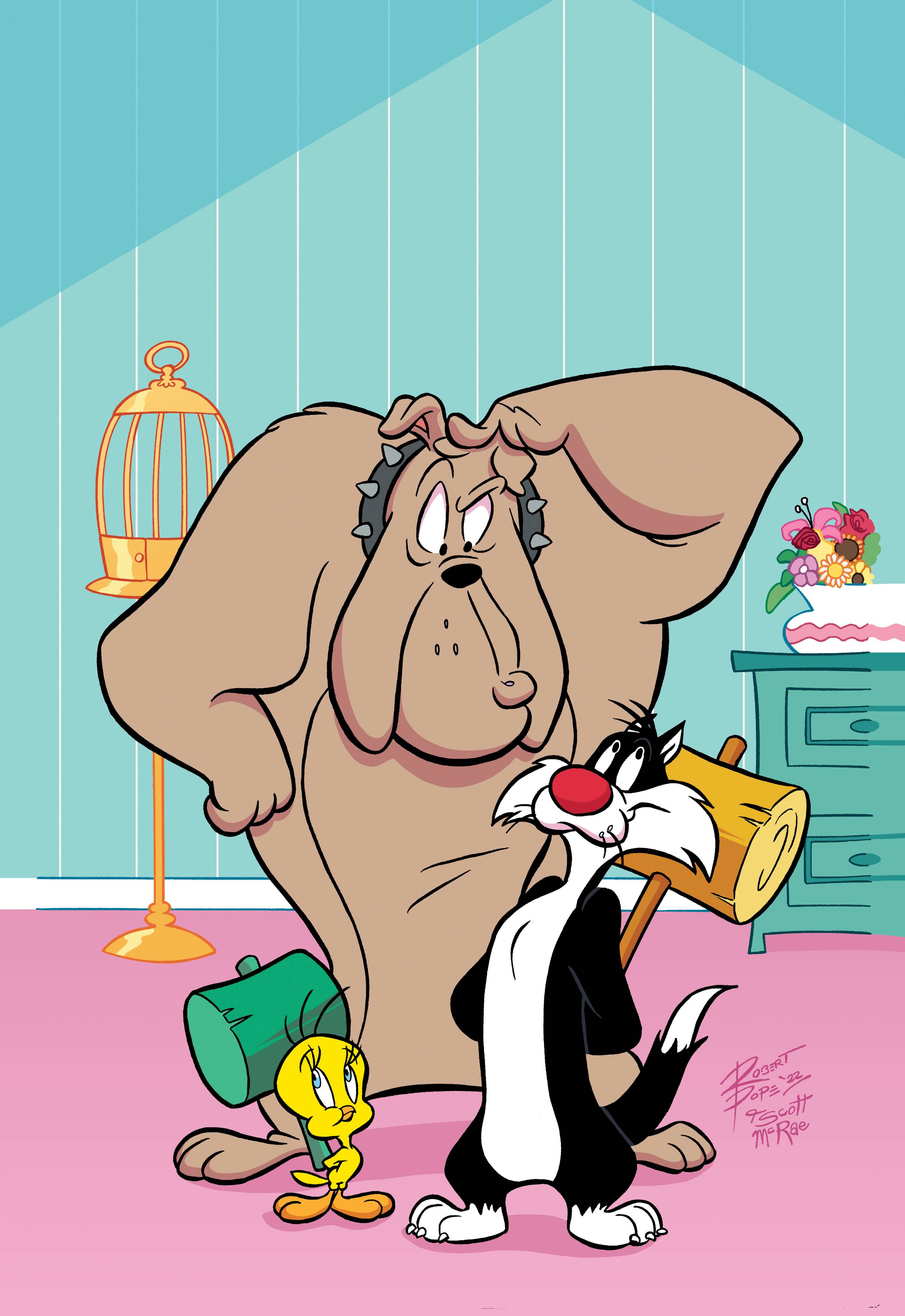 The Looney Tunes Show (TV Series 2011–2015) - IMDb