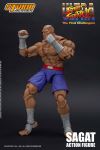 APR198071 - STORM COLLECTIBLES STREET FIGHTER GUILE 1/12 AF - Previews World