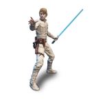 Page 1 for SW BLACK HYPERREAL E5 LUKE SKYWALKER 8IN SCALE AF CS  (