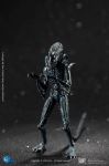 Page 1 for ALIENS BLUE ALIEN WARRIOR PX 1/18 SCALE FIGURE