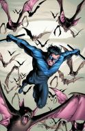 NIGHTWING Thumbnail