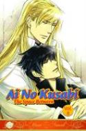 AI NO KUSABI SPACE BETWEEN NOVEL Thumbnail