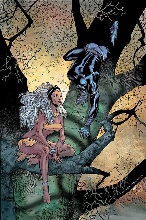 Storm and Panther. Art by Olivier Coipel.